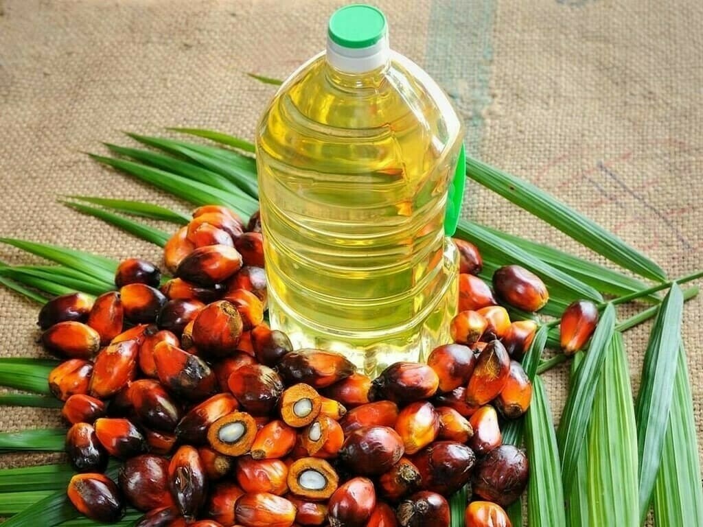 Palm Kernel Oil - Image 2