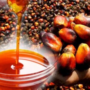 Red Palm Oil