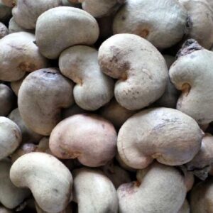 Cashew Nuts