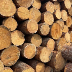 Wood Logs